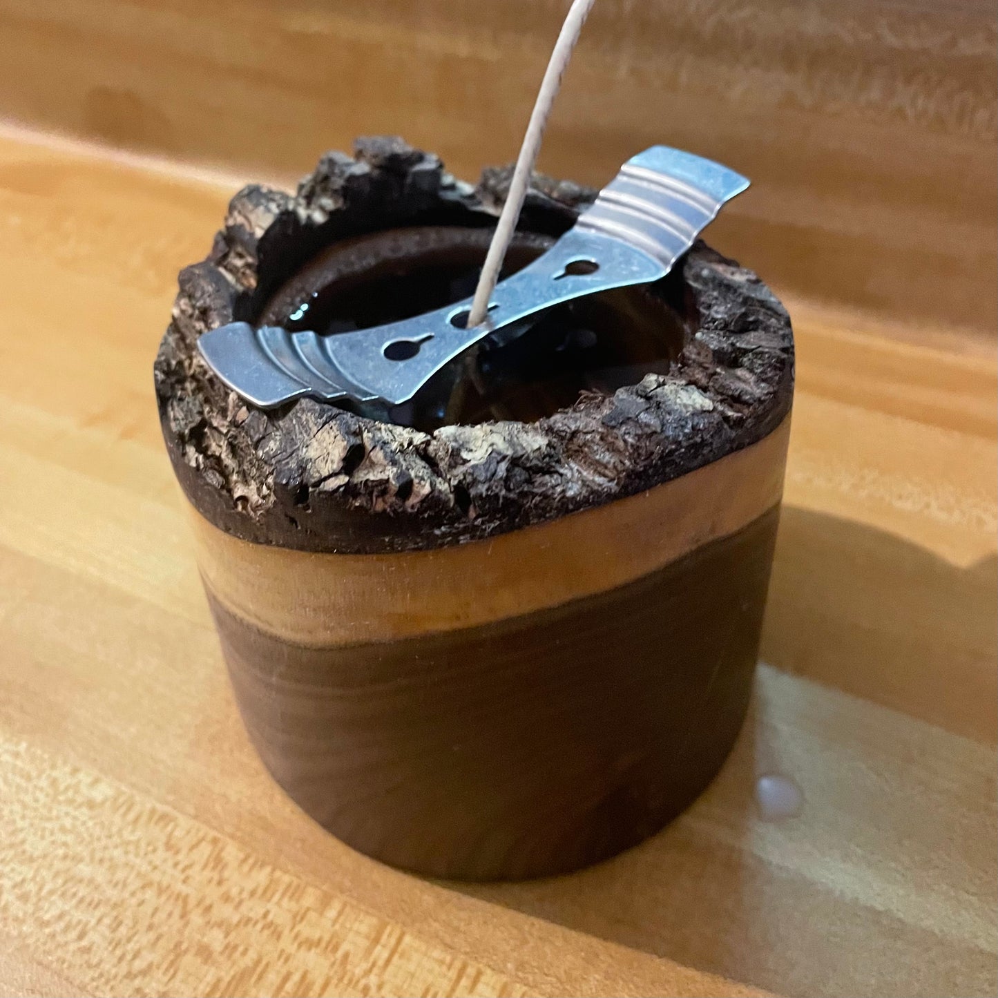 Soy Candle in Black Walnut, Spring Forest Scent